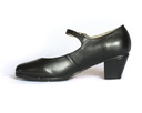 Zapato de folklore